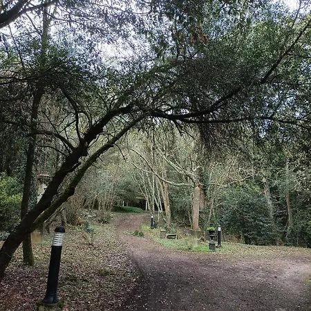 San De