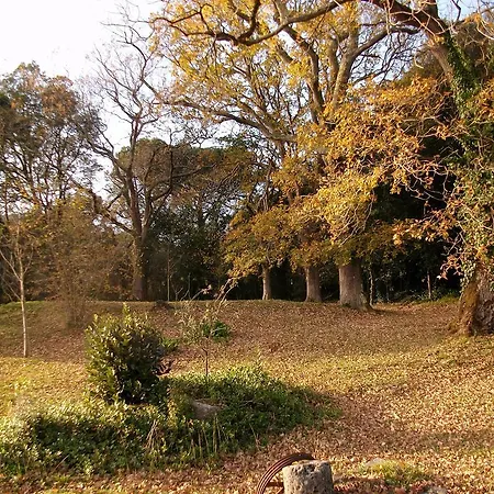 San De
