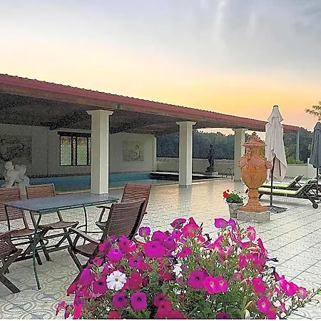 Hotel San De 4*
