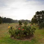 San De